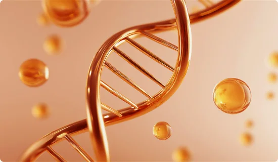 CaHA 필러의 콜라겐 생성 작용을 설명하는 나선 구조와 입자 이미지